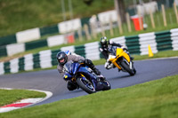 cadwell-no-limits-trackday;cadwell-park;cadwell-park-photographs;cadwell-trackday-photographs;enduro-digital-images;event-digital-images;eventdigitalimages;no-limits-trackdays;peter-wileman-photography;racing-digital-images;trackday-digital-images;trackday-photos